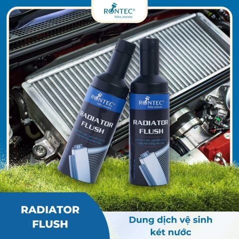  Rontec Radiator Flush 