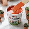Sơn chậu kiểng Dolphin gạch 604