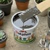 Sơn chậu kiểng Dolphin xám lông chuột 605