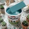Sơn chậu kiểng Dolphin xám xanh 621