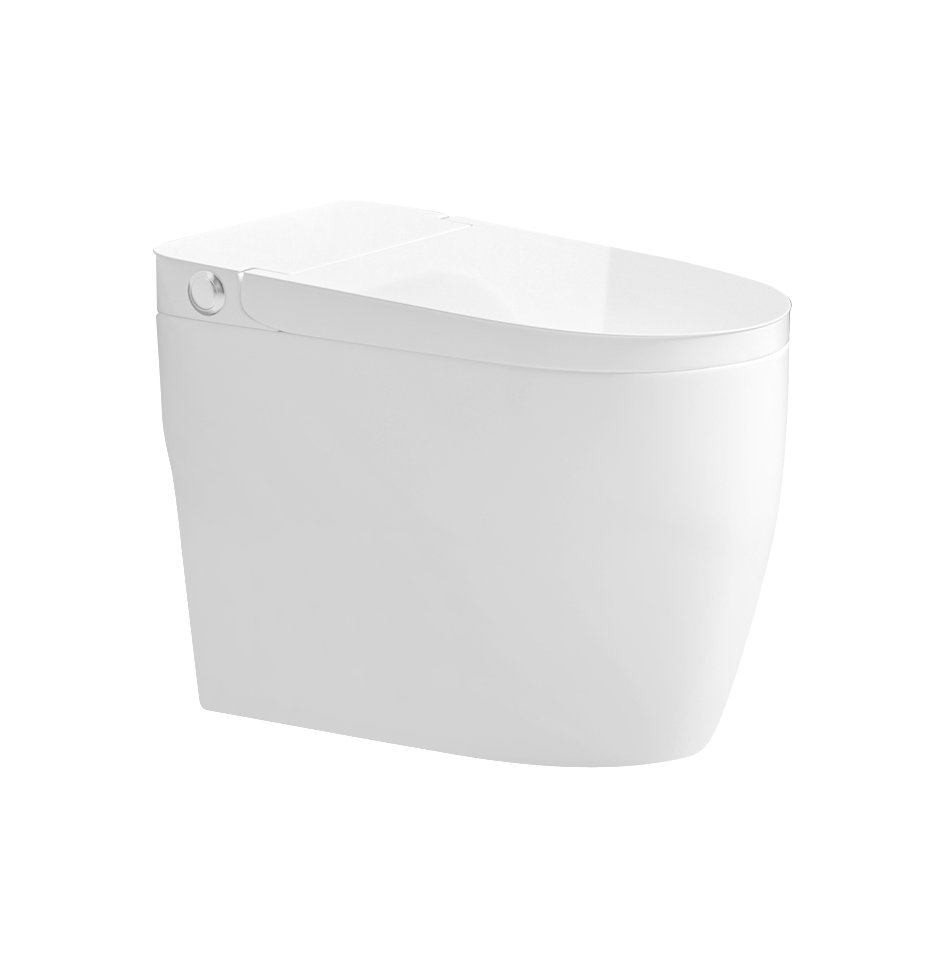 Bồn cầu sứ cao cấp D&K Q3303