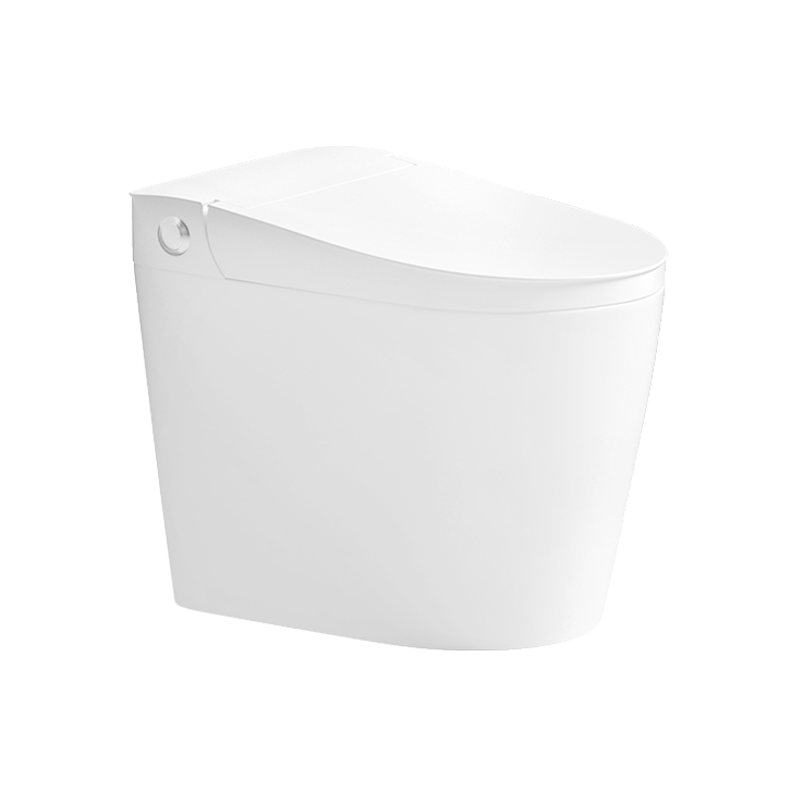 Bồn cầu sứ cao cấp D&K Q3304