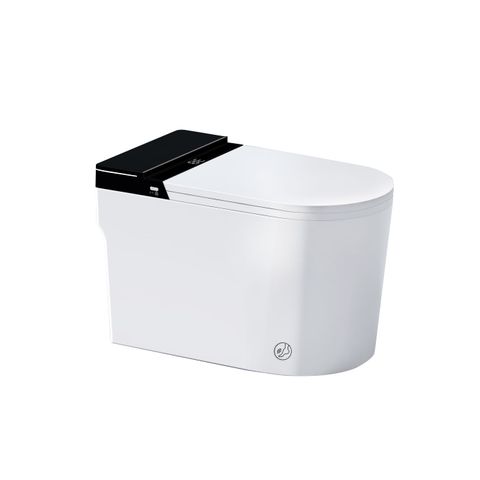  Bồn Cầu Điện Tử Thông Minh D&K ST6904E 