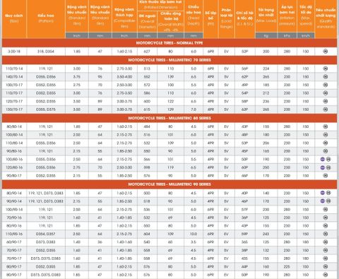  Lốp DPLUS 130/70-12/119-TL 
