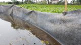  VẢI LỌC DẦU SOS-1 