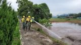 CHẤT BỌC PHÂN TỬ ĐA DỤNG C-PEC 