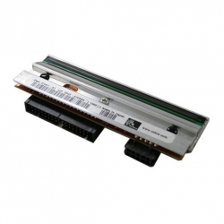 Đầu in Zebra ZT231 203 dpi