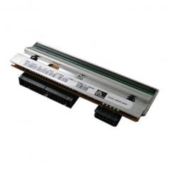 Đầu in Zebra ZT231 203 dpi