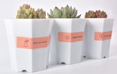 Máy in nhãn di động HPRT M11