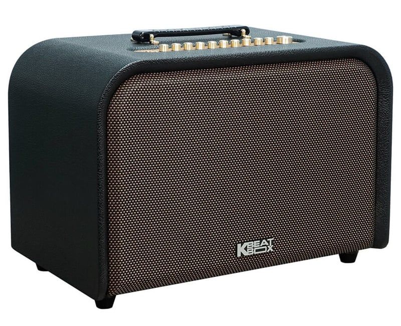 Loa Xách Tay Acnos Acoustic 3 Compact Cao Cấp - Hình 4