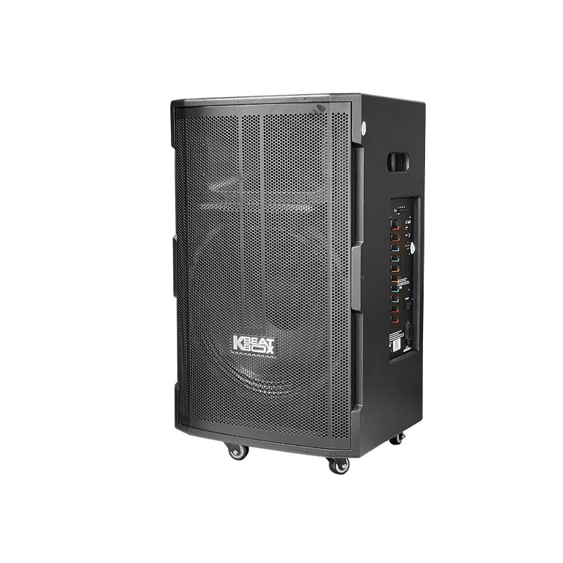 Loa karaoke di động Acnos CB391G chính hãng - Hình 2