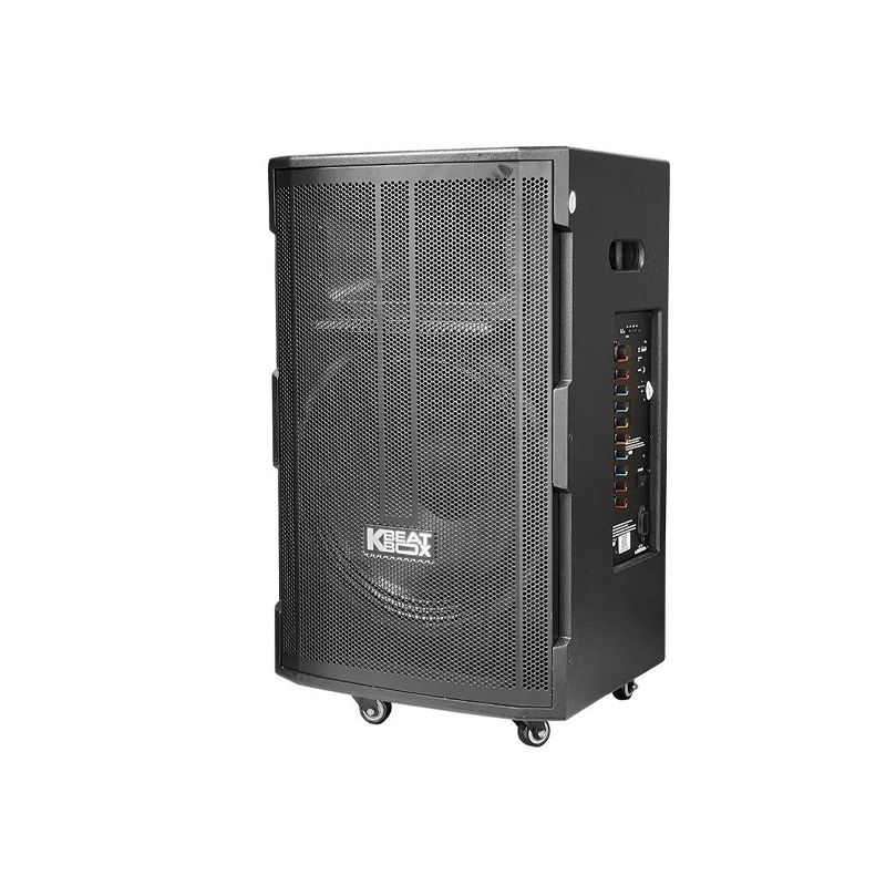Loa karaoke di động Acnos CB391G chính hãng - Hình 2