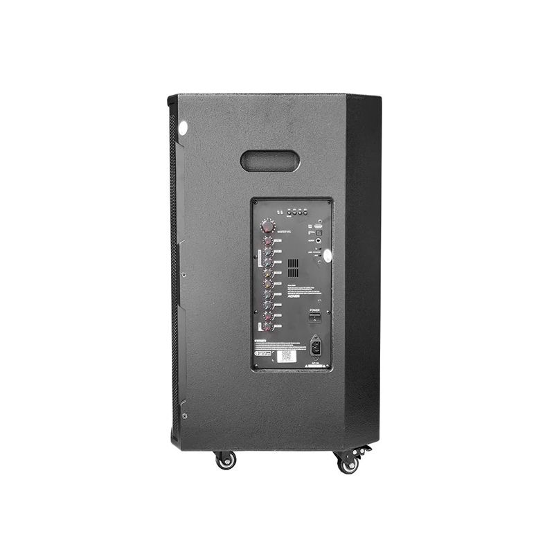 Loa karaoke di động Acnos CB391G chính hãng - Hình 4