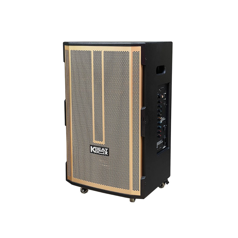 Loa karaoke di động Acnos CB392G chính hãng - Hình 2