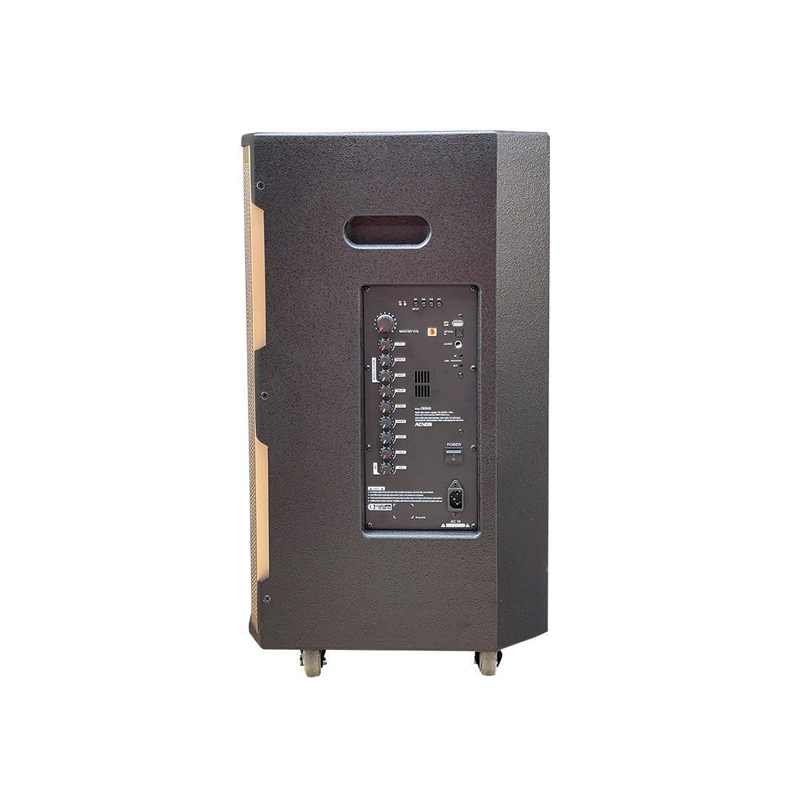 Loa karaoke di động Acnos CB392G chính hãng - Hình 3