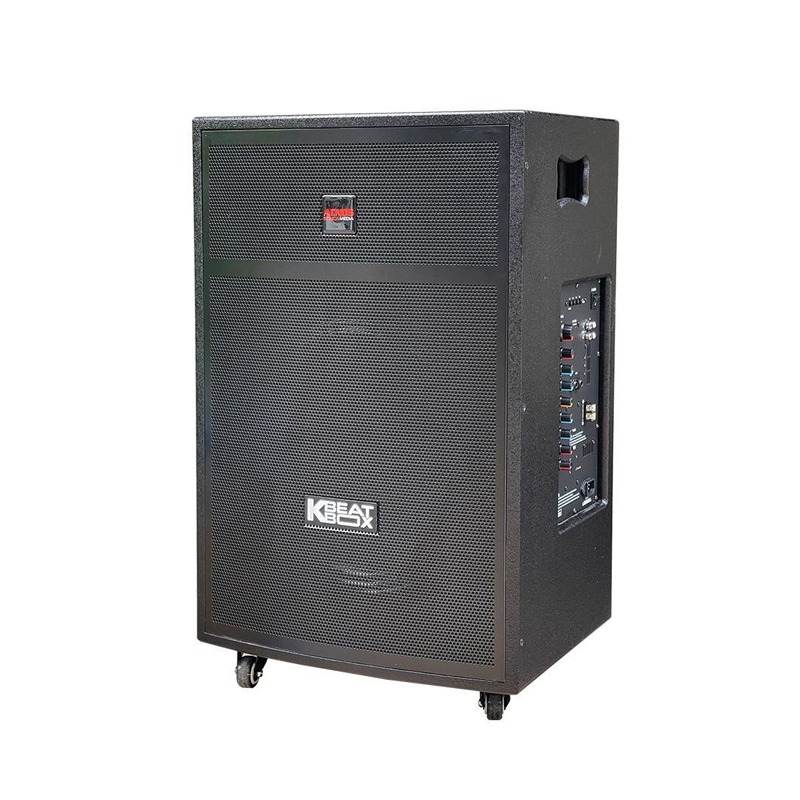 Loa karaoke di động Acnos CB403G chính hãng - Hình 2