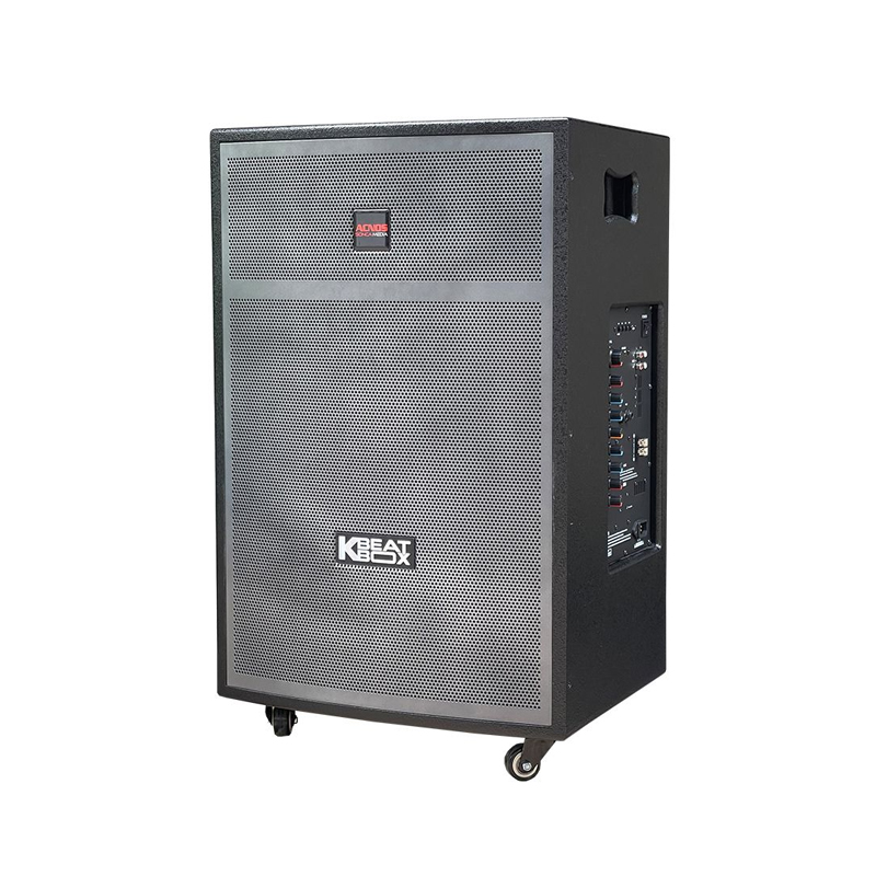 Loa karaoke di động Acnos CB404G chính hãng - Hình 2