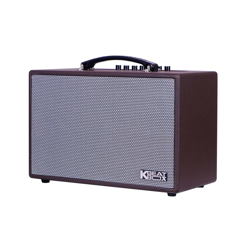 Loa karaoke di động Acnos CS160 chính hãng - Hình 2