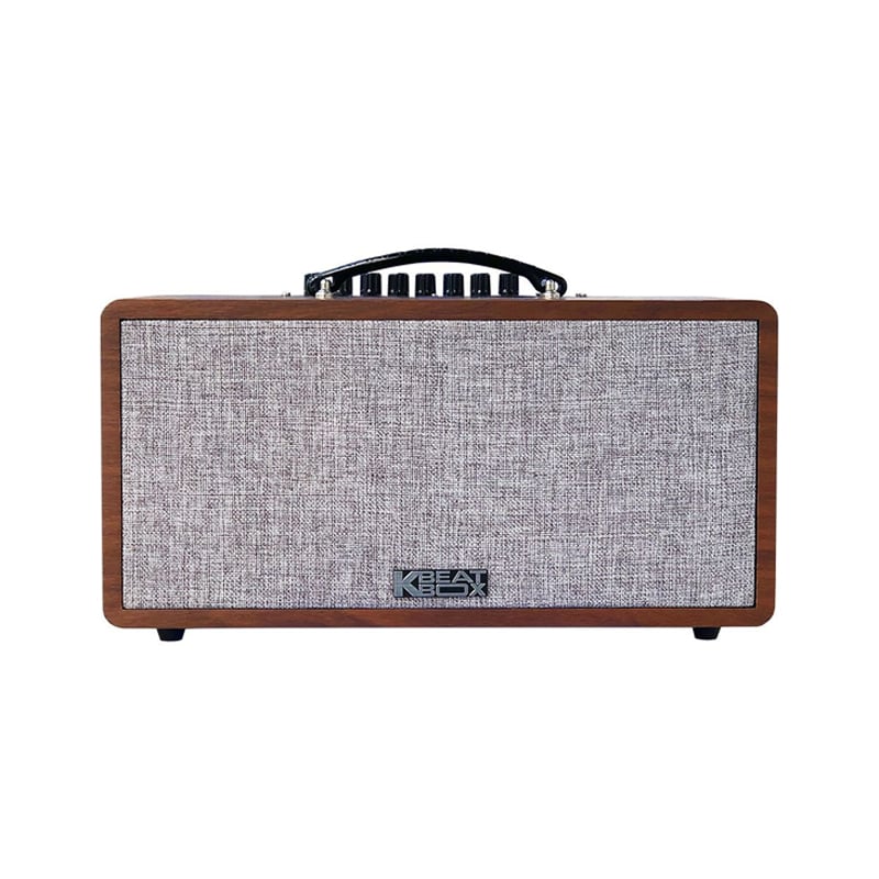 Loa karaoke di động Acnos CS390 chính hãng - Hình 1