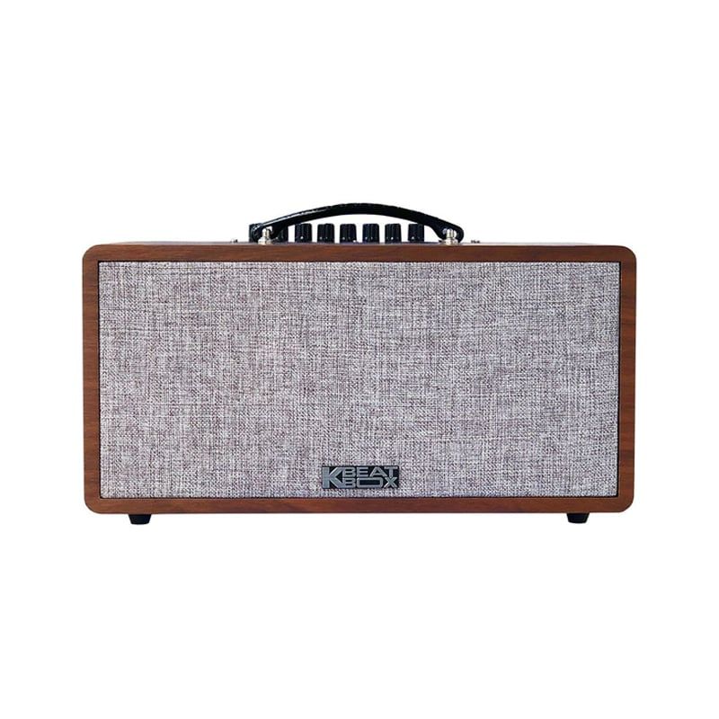 Loa karaoke di động Acnos CS390 chính hãng - Hình 1