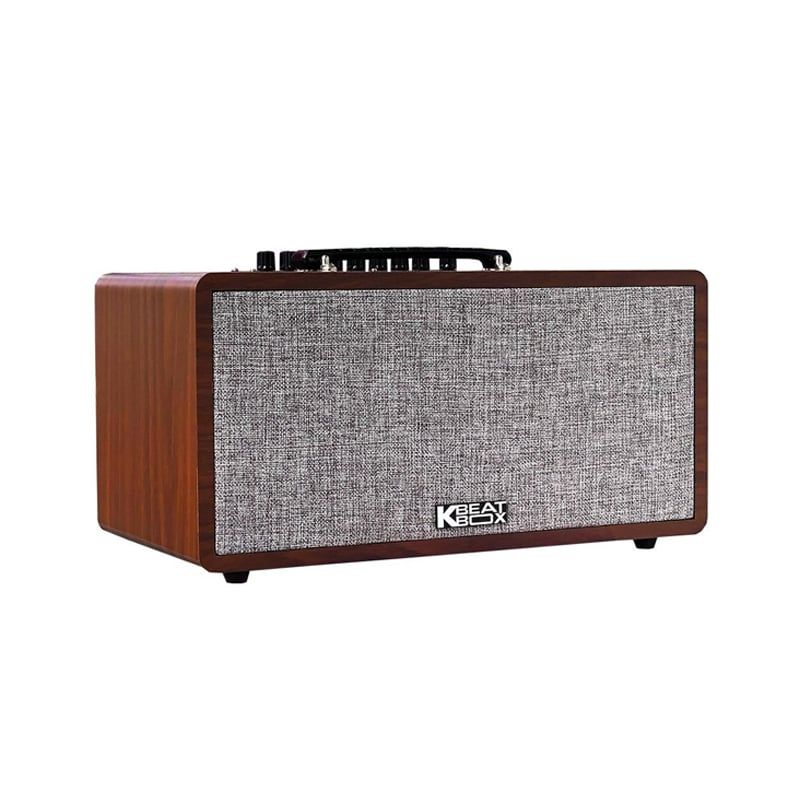Loa karaoke di động Acnos CS390 chính hãng - Hình 2