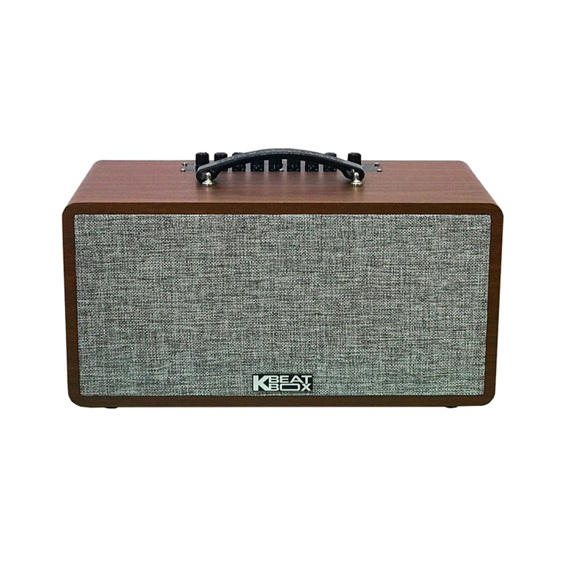 Loa karaoke di động Acnos CS390 chính hãng - Hình 3