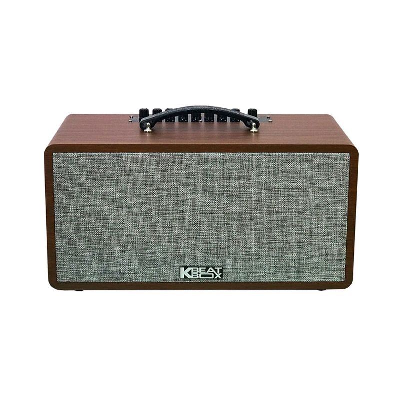 Loa karaoke di động Acnos CS390 chính hãng - Hình 3