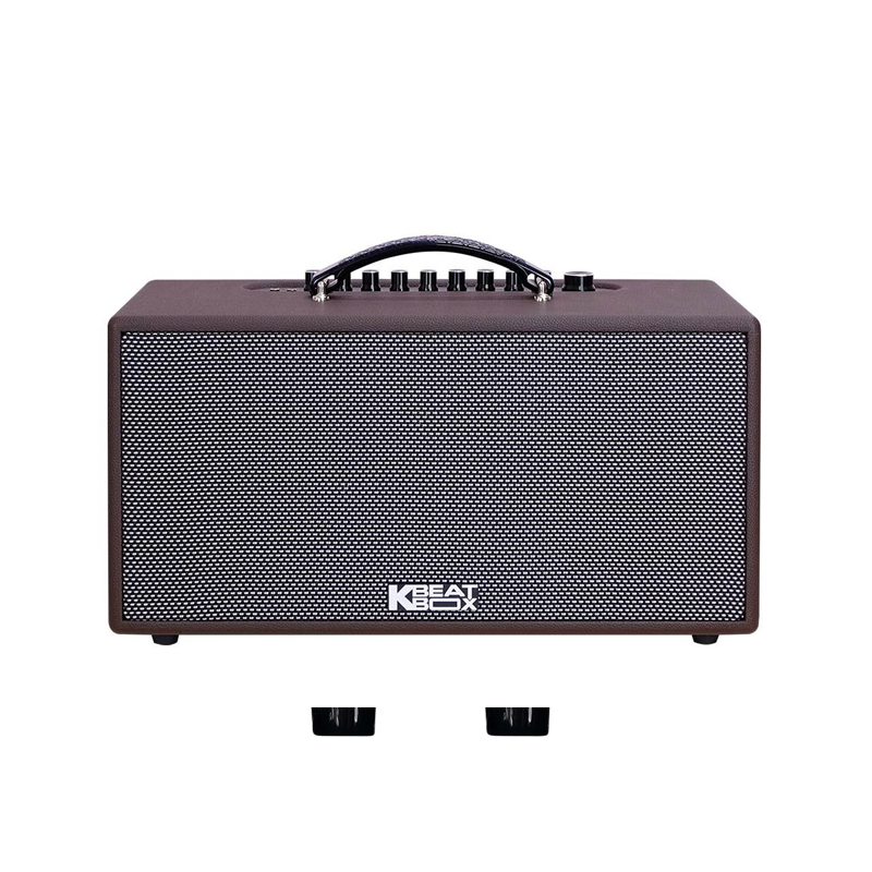 Loa karaoke di động Acnos CS391 chính hãng - Hình 1
