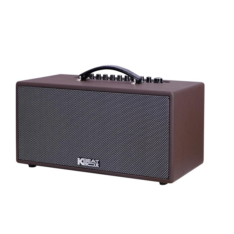 Loa karaoke di động Acnos CS391 chính hãng - Hình 2