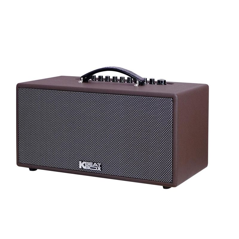 Loa karaoke di động Acnos CS391 chính hãng - Hình 2