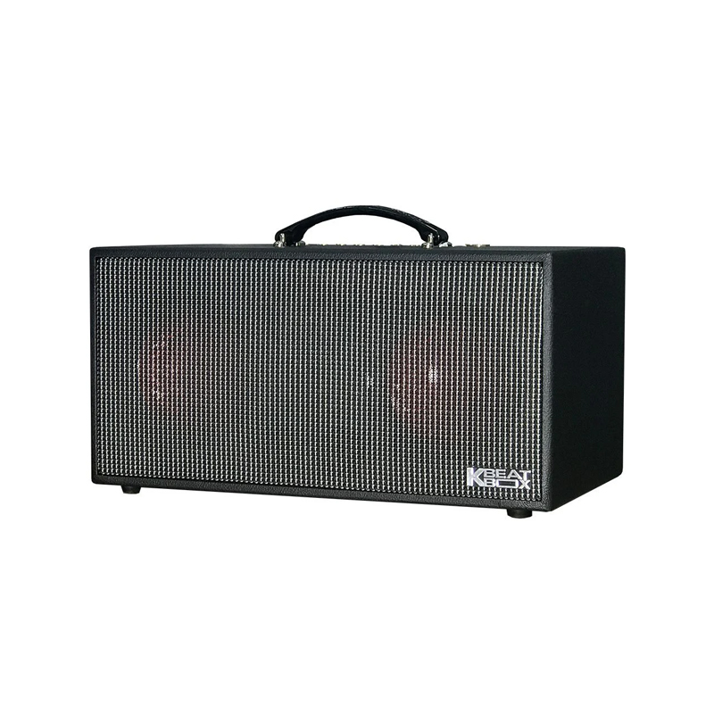 Loa karaoke di động Acnos CS450 chính hãng - Hình 2