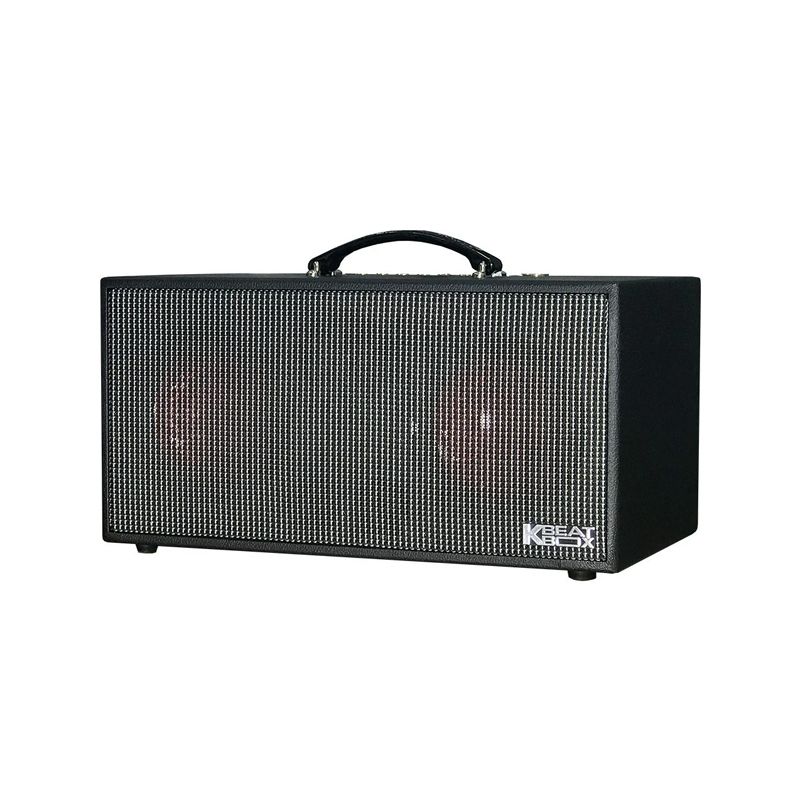 Loa karaoke di động Acnos CS450 chính hãng - Hình 2