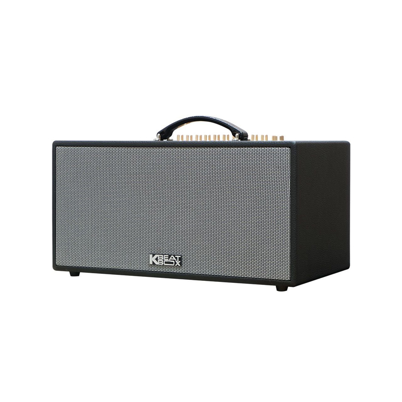 Loa karaoke di động Acnos CS450neo chính hãng - Hình 2
