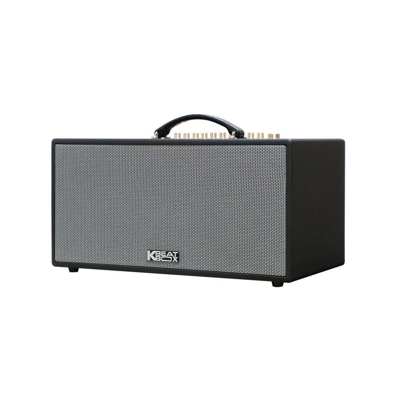 Loa karaoke di động Acnos CS450neo chính hãng - Hình 2