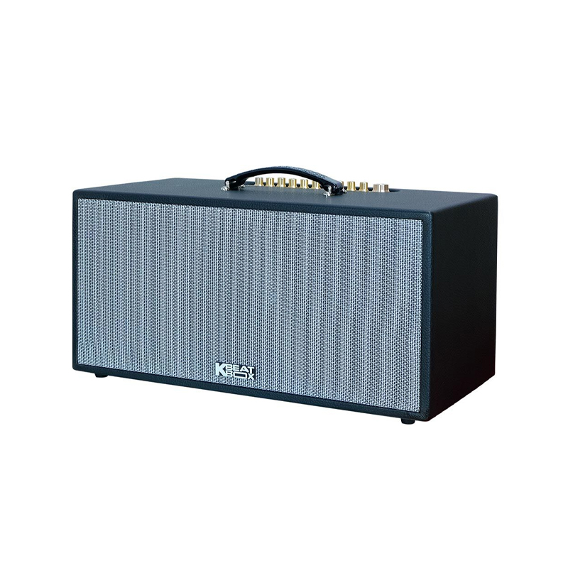 Loa karaoke di động Acnos CS451Plus chính hãng - Hình 2