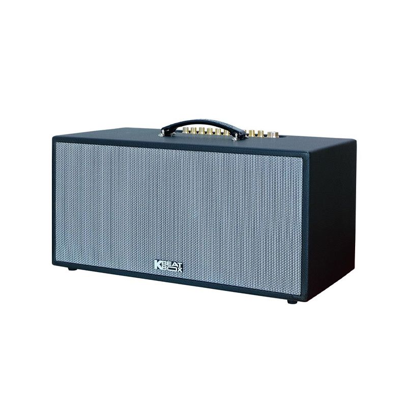 Loa karaoke di động Acnos CS451Plus chính hãng - Hình 2