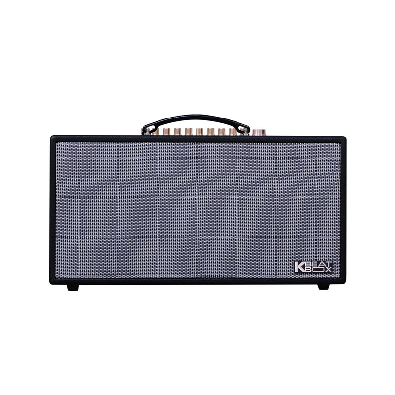 Loa karaoke di động Acnos HN450 chính hãng - Hình 1