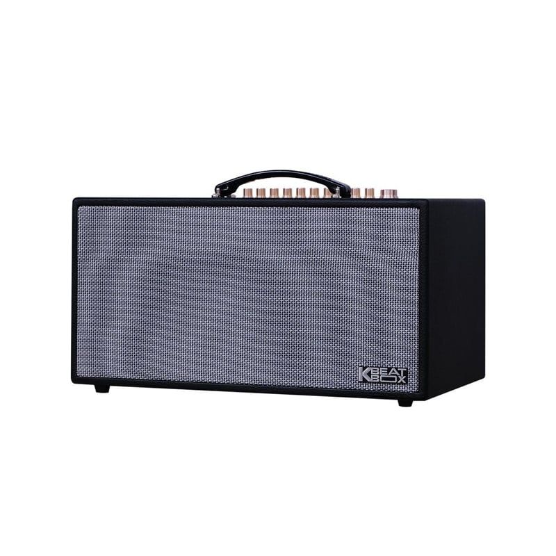 Loa karaoke di động Acnos HN450 chính hãng - Hình 2