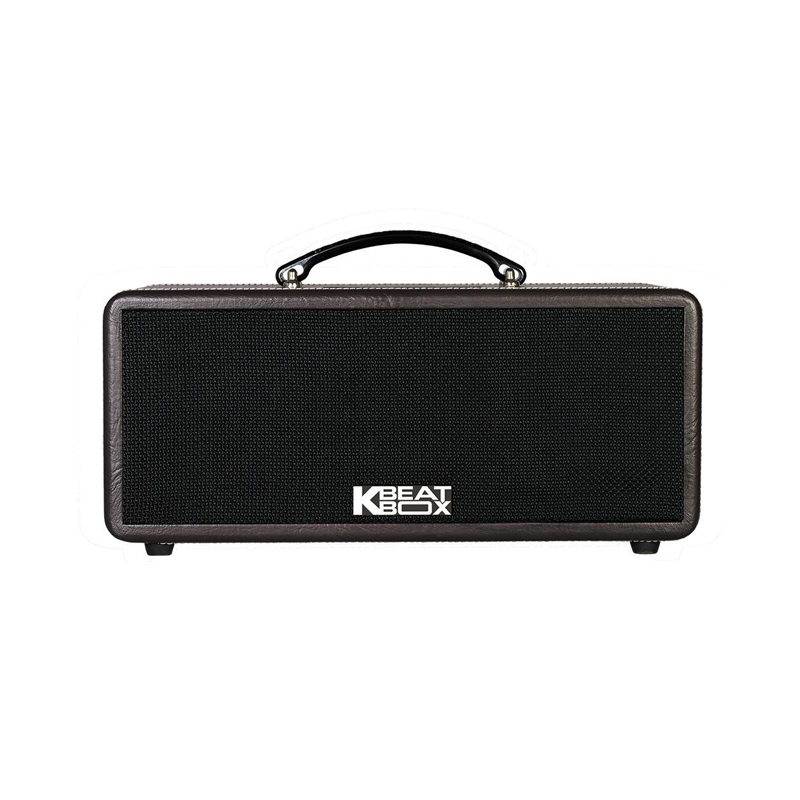 Loa karaoke di động Acnos KS361MS chính hãng - Hình 1
