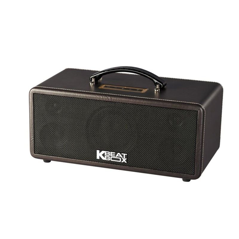 Loa karaoke di động Acnos KS361MS chính hãng - Hình 2