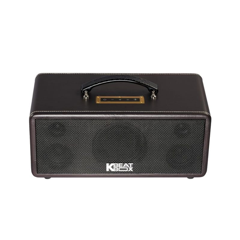 Loa karaoke di động Acnos KS361MS chính hãng - Hình 4