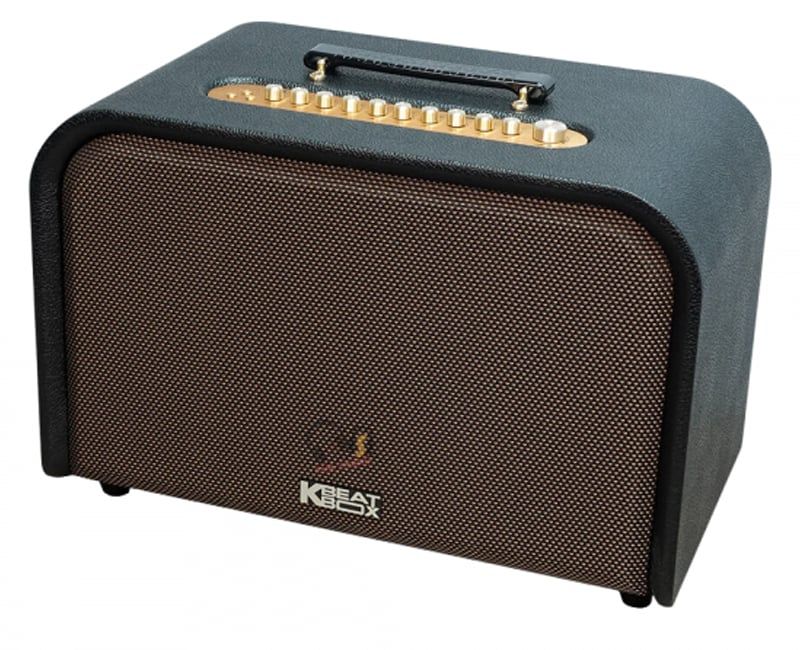 Loa Xách Tay Acnos Acoustic 3 Compact Cao Cấp - Hình 3