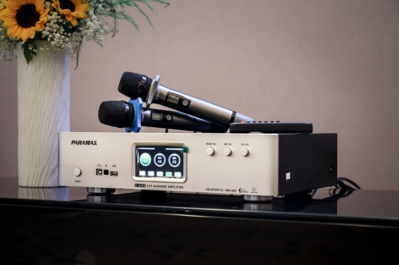 Amply karaoke tích hợp Vang số Paramax Z-A450 chính hãng - Hình 3