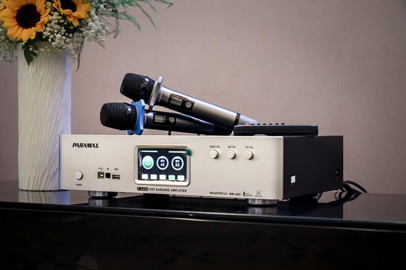 Amply karaoke tích hợp Vang số Paramax Z-A450 chính hãng - Hình 3