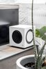 Loa Subwoofer Audio Pro SW-10 Chính Hãng - Thumb 5