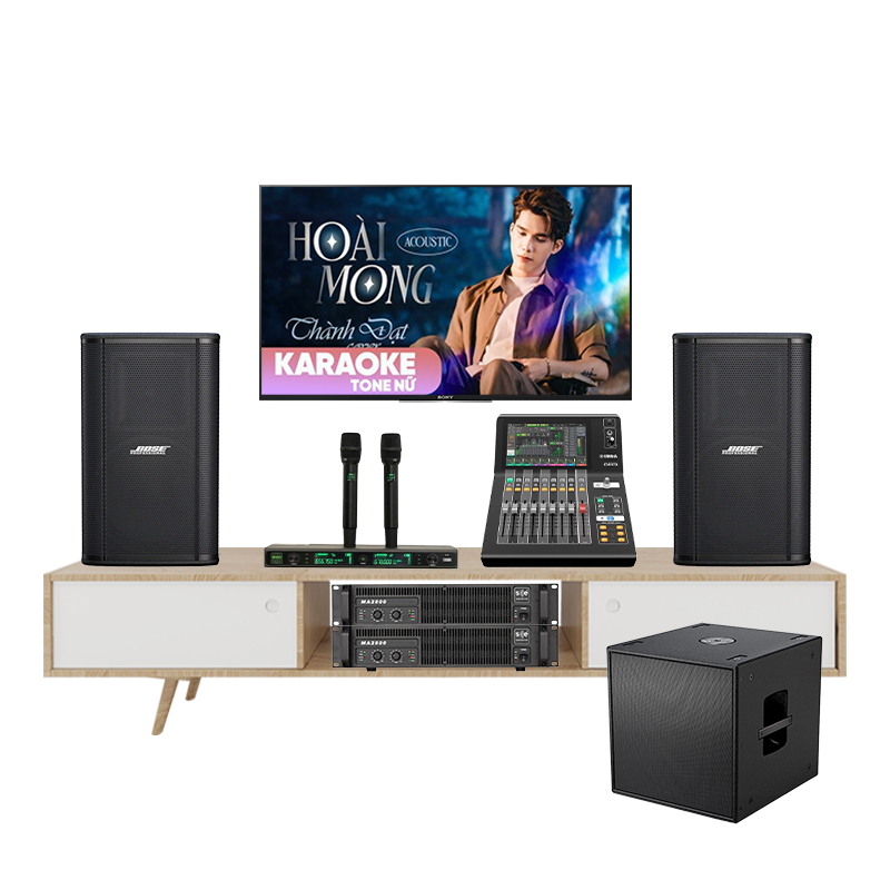 Bộ Âm Thanh Karaoke Bose Showtime SK12 TVA902025 - Hình 1