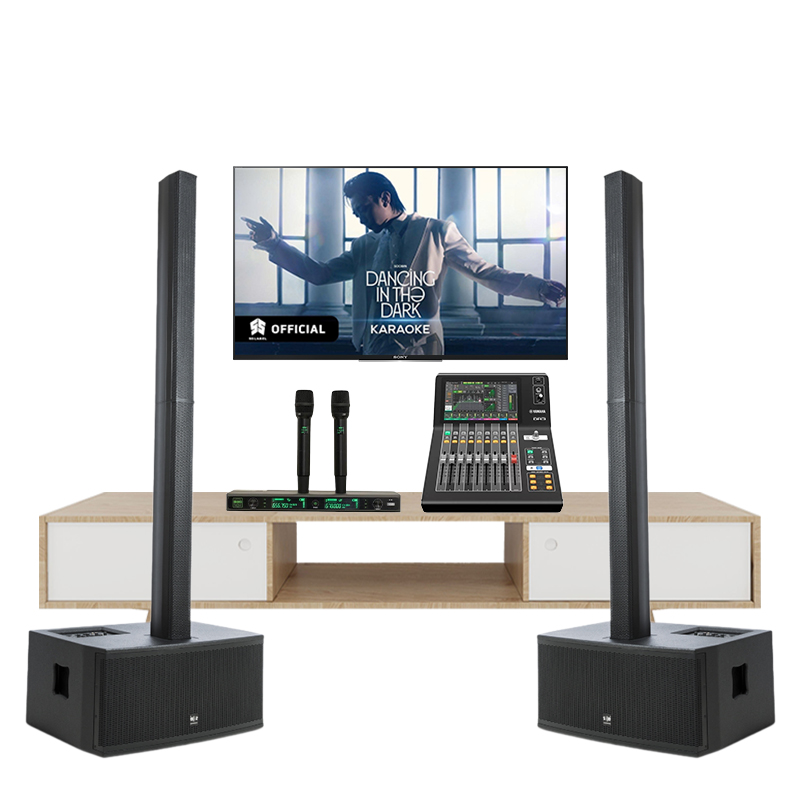 Bộ Âm Thanh Karaoke SE Audiotechnik C6 TVA662025 - Hình 1