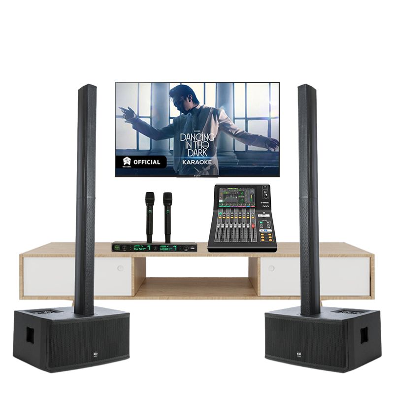 Bộ Âm Thanh Karaoke SE Audiotechnik C6 TVA662025 - Hình 1