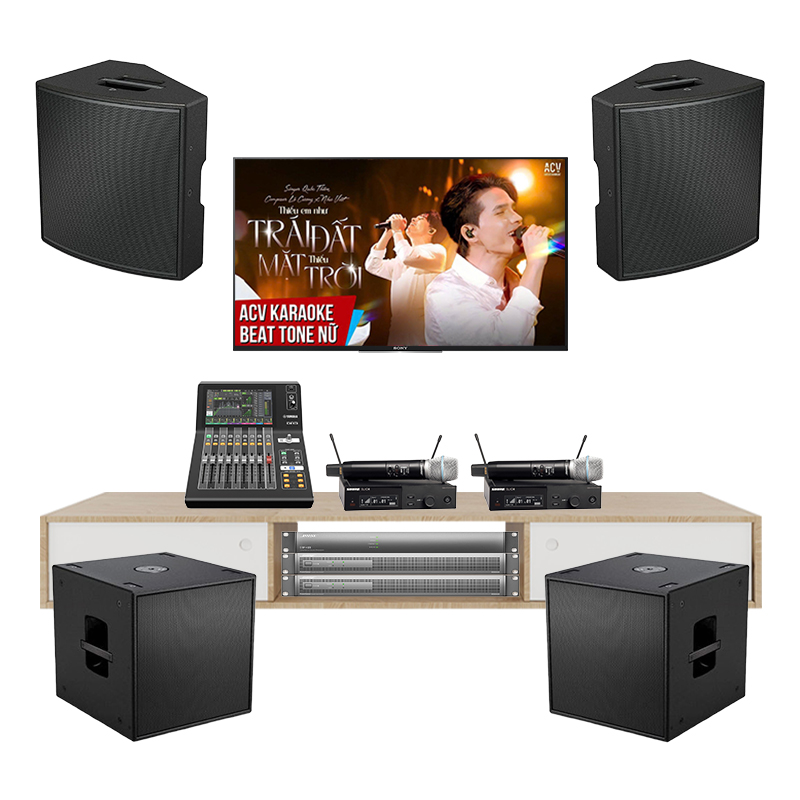 Bộ Dàn Karaoke Cao Cấp Bose AMM112 TVA192026 - Hình 1