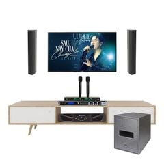 Bộ Dàn Karaoke Cao Cấp SE Audiotechnik IC38X TVA402026